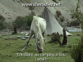 légende: Crin Blanc au camping a Skiu Ladakh
qualityCode=raw
sizeCode=half

Données de l'image originale:
Taille originale: 164011 bytes
Temps d'exposition: 1/150 s
Diaph: f/400/100
Heure de prise de vue: 2002:06:25 15:40:04
Flash: non
Focale: 212/10 mm
